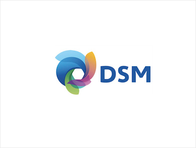 DSM